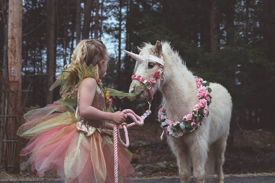 Unicorn Birthday Party & Woodsy Photo Shoot